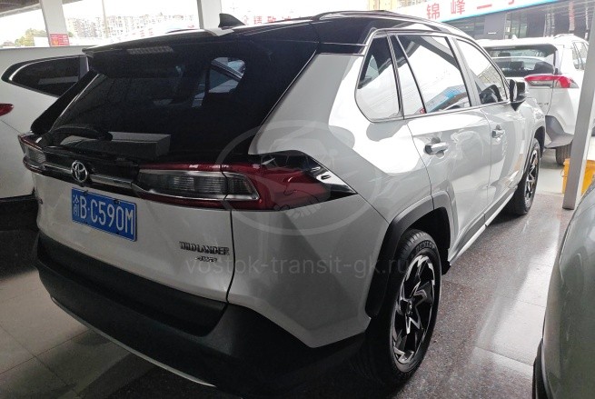 TOYOTA WILDLANDER 