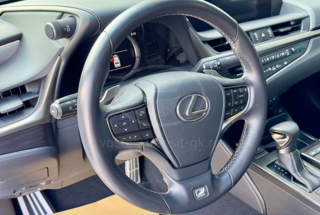 LEXUS ES 260 F SPORT