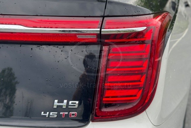 HONGQI H9